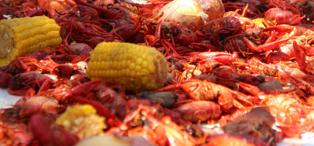 crawfish boil 2015